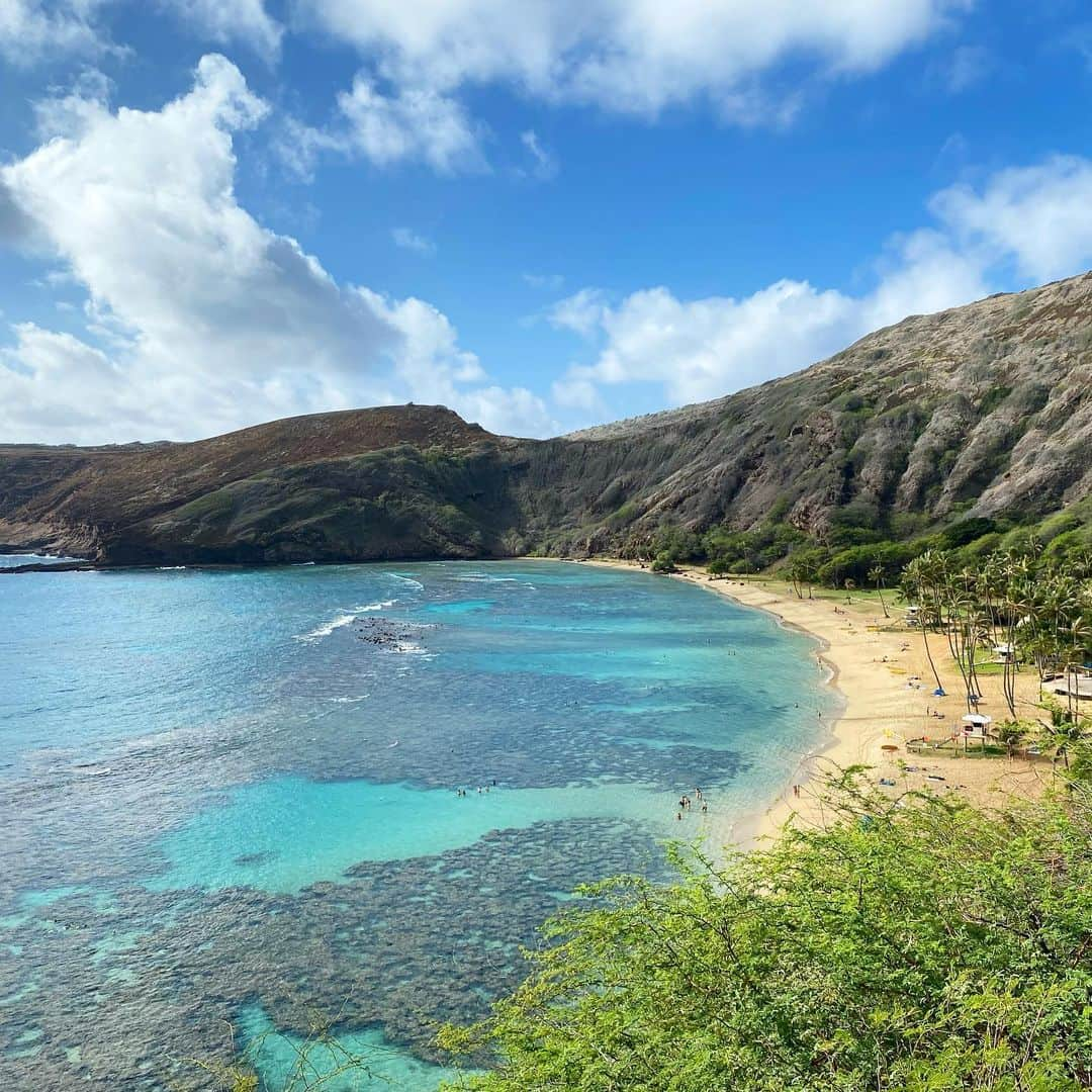 工藤まやさんのインスタグラム写真 - (工藤まやInstagram)「Wish you were here. 透明度が増したハナウマ湾。その分規制も増えたけれど、この美しさを守れるならばそれもいいじゃないと学べた日。上からでもそれは一目瞭然。1日3000人を超えていた入場者数が現在は720人まで。ビーチでは距離を保って陣取り、湾を端から端までくまなく泳いできた。海の中の様子はストーリーで💙  #hanaumabay #nature #hawaii #reefsafe」1月15日 17時42分 - mayahawaii325