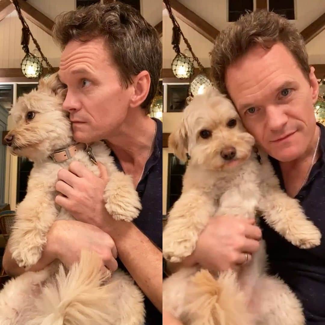 ニール・パトリック・ハリスのインスタグラム：「Happy Friday! 🥰🐶 #neilpatrickharris #nph #tagsforlikes #actor #lovehim #handsome #myedits #gidget #awesome #legendary @nph 💙」