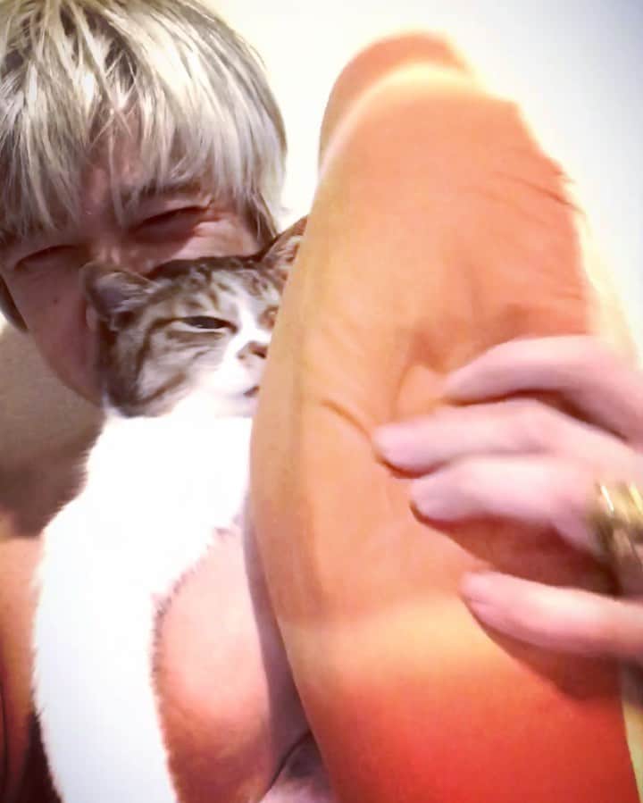 イマイアキノブのインスタグラム：「℘ 眠っている間にスペインまで行けたぜ」