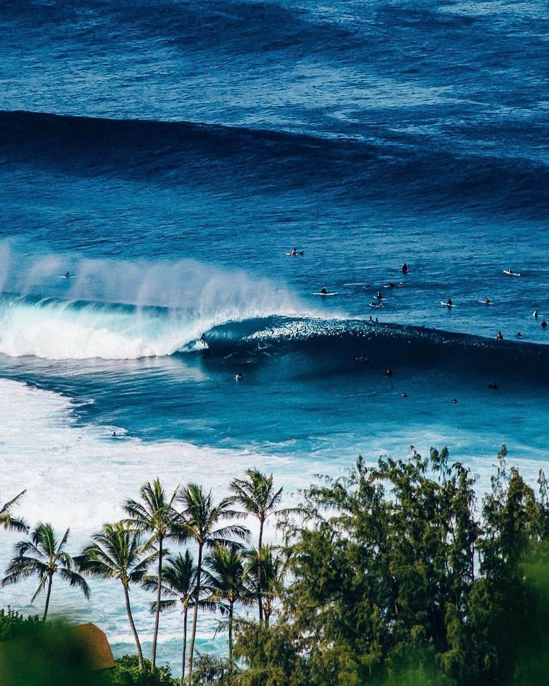 ボディーグローブさんのインスタグラム写真 - (ボディーグローブInstagram)「All eyes on Hawaii! Massive swell incoming for the weekend. Big wave spots and outer reefs are forecast to be their biggest of the season. Best of luck to all who have prepared to tackle this swell 🌊 🤙  ~~ 📷  @nickmeistrell  #bodyglove #bodyglovegirl #allthingswater #hawaii #oahu #swell #giantswell #massiveswell #bigswell #largesurf #aerialphotography #surfphotography #surfscape #palmtrees #biggestswell #swellforecast #surfline #pipeline #jaws #waimeabay #maui #kauai #northshore #sevenmilemiracle #oceanview #bigsurf #largesurf #staysafeeveryone #superswellsaturday #superswell」1月16日 3時51分 - bodyglove