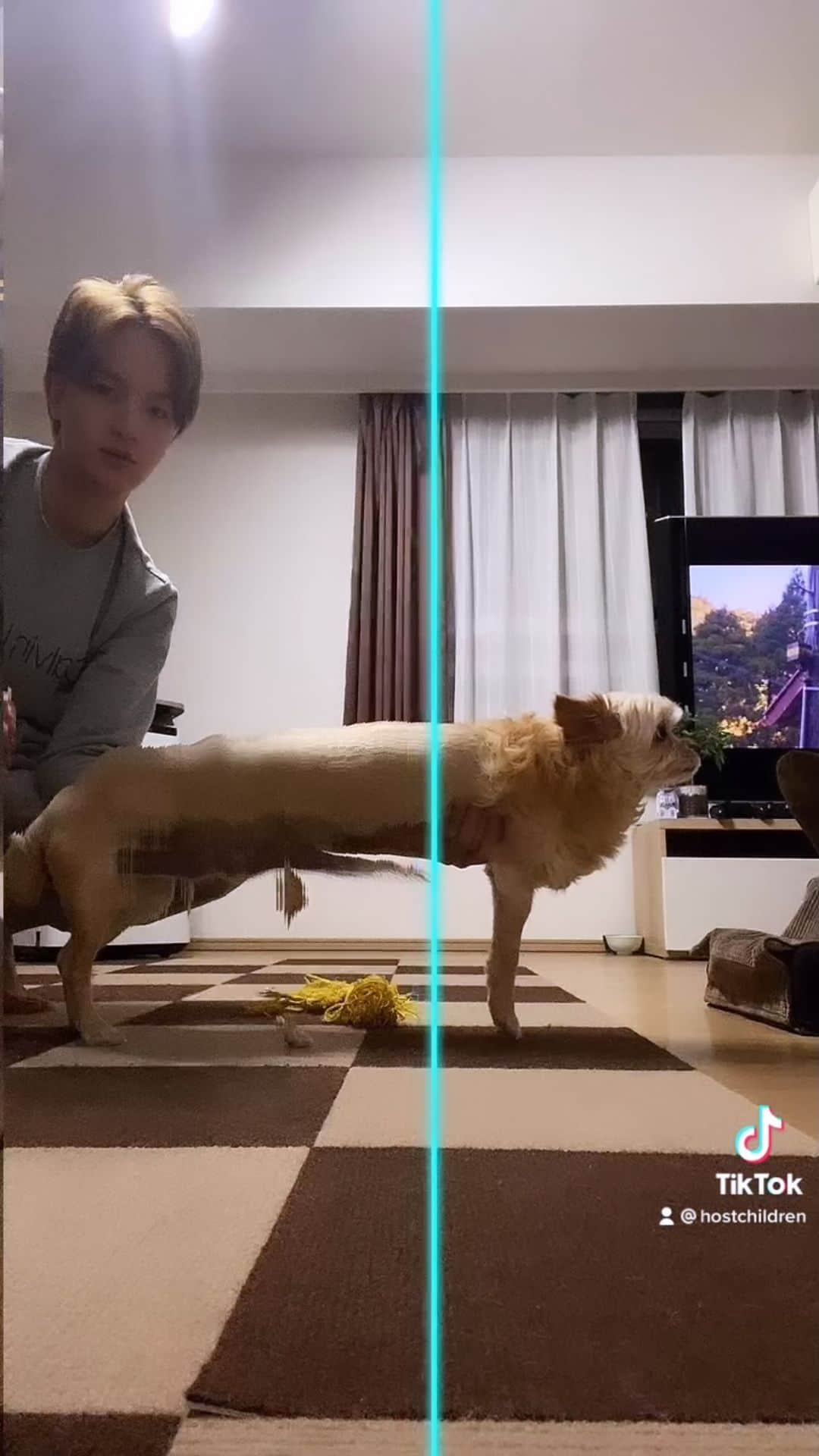 やるきげんきだいきのインスタグラム：「アソコがデカい犬」