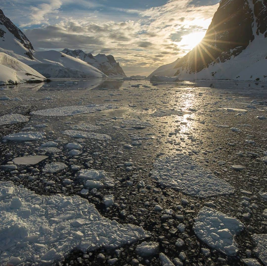 Tim Lamanのインスタグラム：「Photos by @TimLaman.  Two years ago in early January, I was traveling with National Geographic/Lindblad Expeditions in Antarctica, and made these images in the Lemaire Channel in unusually calm conditions with spectacular reflections.  While the pandemic has largely put a halt to this type of travel, I’m optimistic that as the people of the world get vaccinated and we can put this period behind us, we can get back out there.  Images are great, but there is nothing that compares with seeing the wonders of the world in person for motivating people to take care of our planet! #fineartfriday  These images are all available in my TimLamanFineArt.com gallery.  If you are a fan of Antarctica or perhaps have even traveled with me or another NatGeo photographer on a trip there, you might enjoy a print as a reminder of your experiences.  Please check out my online gallery at my link in bio. #Antarctica #LemaireChannel #reflections  #ice #naturetherapy」