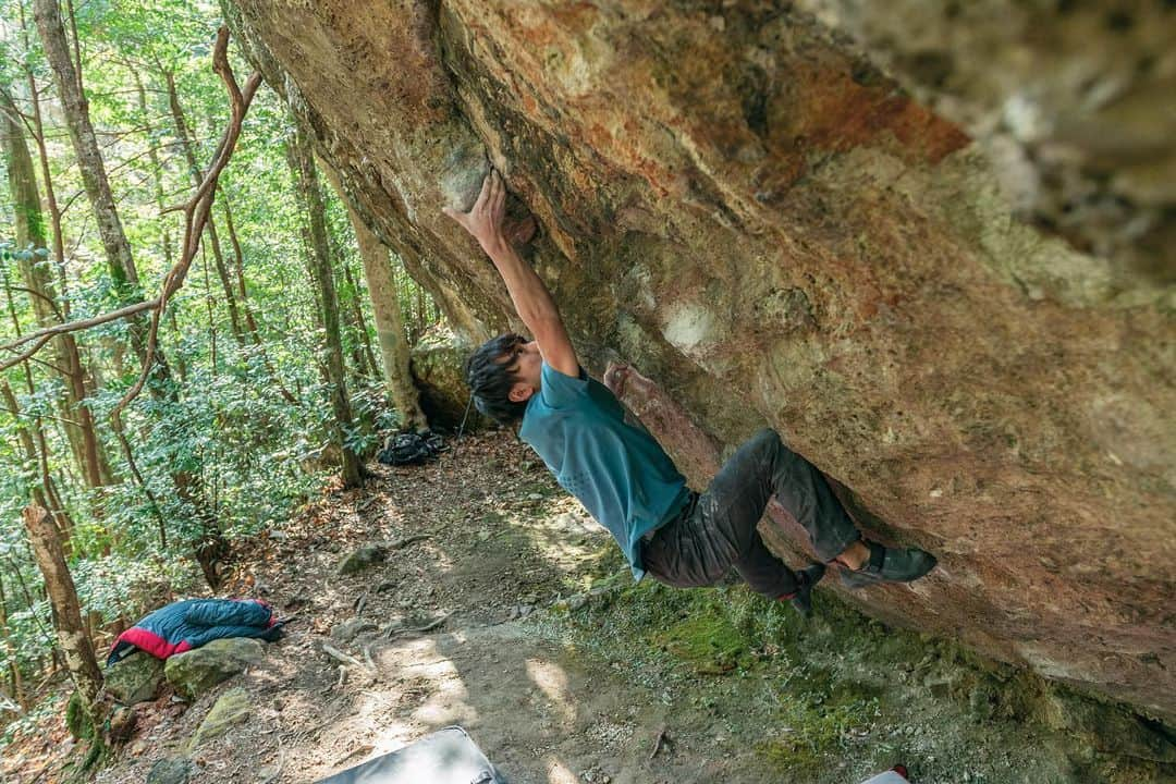 野村真一郎さんのインスタグラム写真 - (野村真一郎Instagram)「Vanitas (8C/V15) ✔️ ______________________________________________________________  I sent the awesome route, which is vertical, and has straight line to the top🔝 Each holds positions seem simple ,but the route requires delicate footwork in fact. Recently I’ve been training for “Off the wagon”, in Switzerland. In other words, I mainly practice dynamic moves, so I had a little anxious about static moves, however I can apply techniques of dynamic moves, such as using finger, abdomen, and back muscles to shift the balance, to the static movement. Although this sending convinces me that my climbing tech are improving, it’s not strong enough i think. I’ve climbed “Byakudo”, “Mona Lisa”, “Vanitas”, so there’s one route I left, “Hallucination” in Hourai area!! ______________________________________________________________  ヴァニタス(5段+) ✔️ 最近は、当面の目標であるOff the wagonを登るために遠いムーブに対応出来るトレーニングがメインだったためスタティックな動きには少し不安がありましたが、リーチを出す為の指や腹、背中を使った繊細な重心移動をスタティックにも応用する事が出来ました。そのおかげで、どのムーブもあまり強度を感じる事なく動けた。 なかなか岩に行くタイミングが見つけられない中で、確実に成果を残す事が出来て嬉しい！ やっぱり最近編み出したセット中に出来るトレーニングがかなり効いてるっぽい。  白道、モナリザ、ヴァニタスが登れ、鳳来で残すはハルシネーション。 ハルシネーションに関しては、今回も少し触りに行ったけどやばすぎてまだ全く出来る気がしません。笑  早くまたスイスに行きたいなぁ。 ______________________________________________________________  📸: @ryu____1  @rokdo_team @unparallelup @rockmasterhq @monturajapan @montura_official @hamasakichiryoin0929 @clover_resole」1月15日 19時58分 - nomura_shinichiro