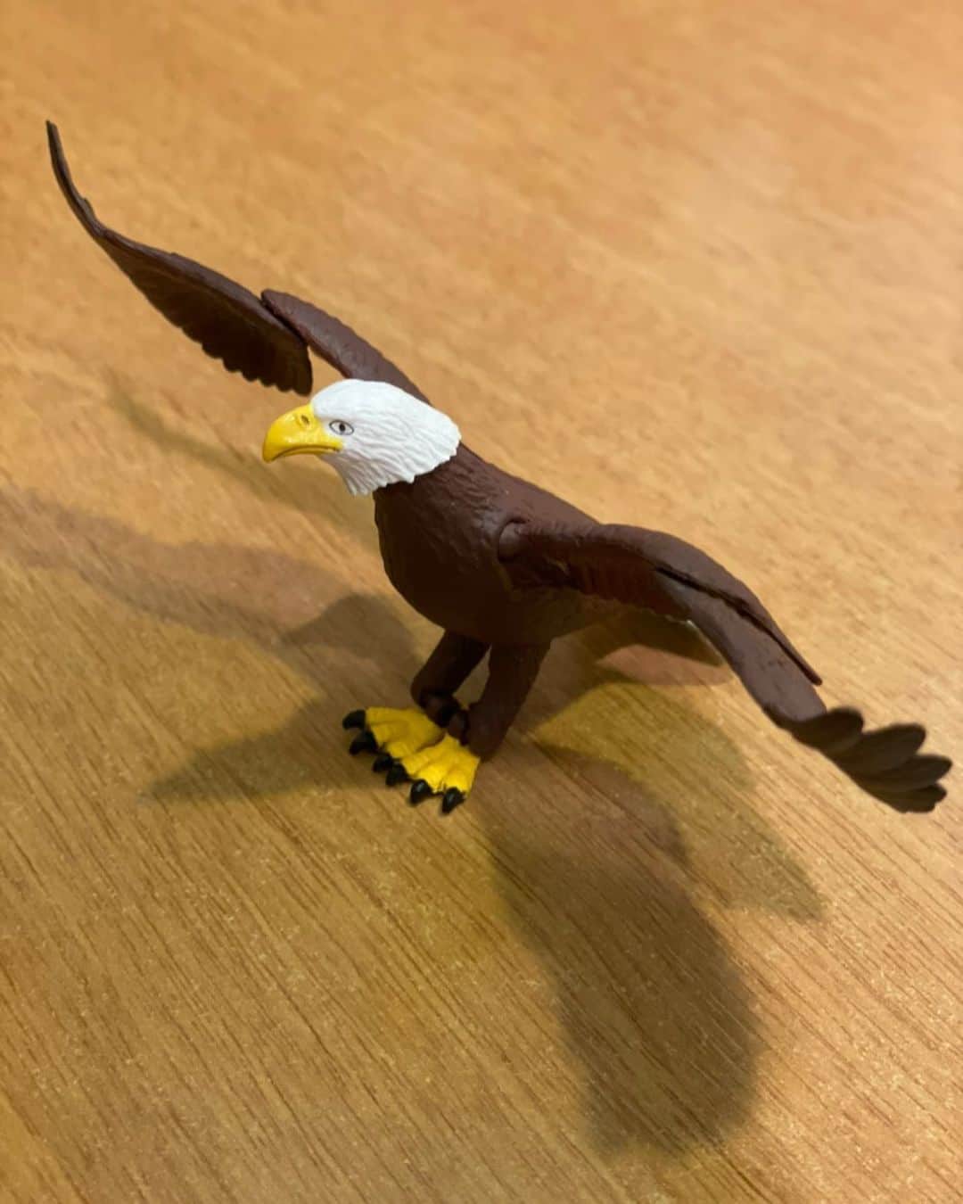 末續慎吾のインスタグラム：「﻿ ﻿ ﻿ ﻿ 自粛はしても‥ ﻿ ﻿ ﻿ ﻿ 自失するべからず。﻿ ﻿ アース。﻿ ﻿ ﻿ #EAGLERUN末續慎吾#陸上#かけっこ#オリンピアン#自粛#EAGLEとは#我#これガチャガチャで当たった#クオリティ高い#本当の自由﻿」