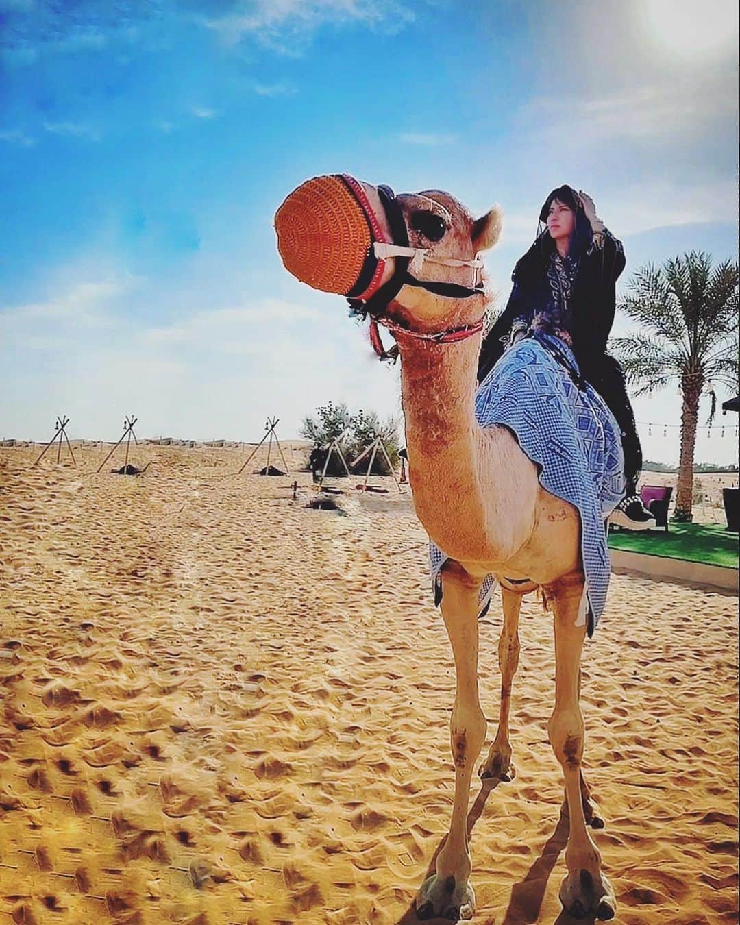 selfieneのインスタグラム：「#キャメルライド に挑戦したよ🐪 かつて砂漠を#ラクダ で旅したなんて遊雅だなぁ✨ よく見るとお目目がとてもかわいいよね👀💕  #ドバイ #dubai #ドバイ砂漠」