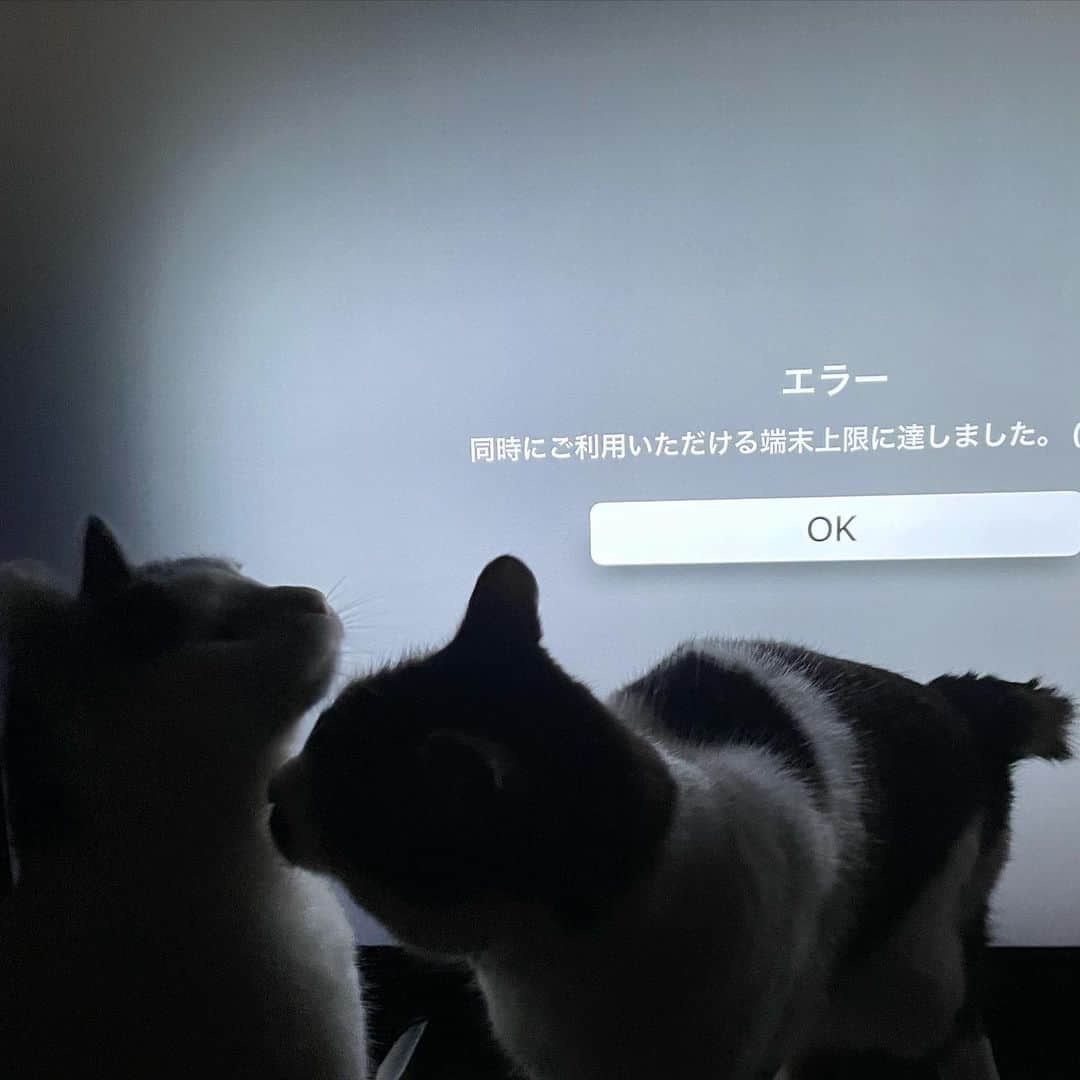 ghemtexのインスタグラム：「#wandavision」