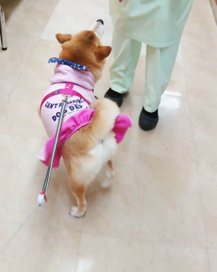 ちゃみのインスタグラム