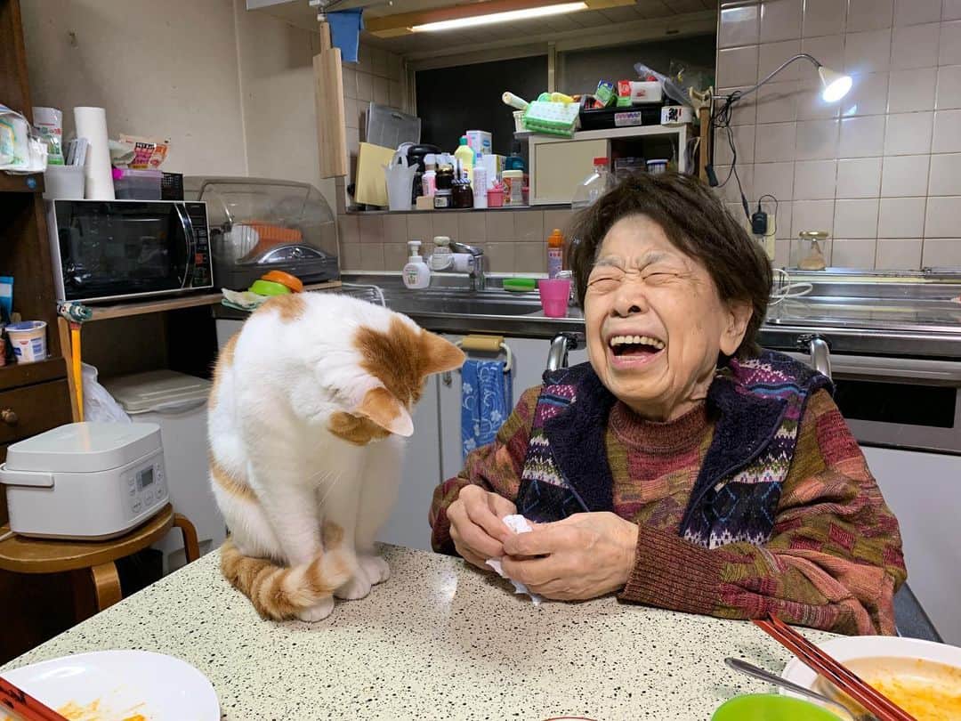 Kachimo Yoshimatsuさんのインスタグラム写真 - (Kachimo YoshimatsuInstagram)「おいなりちゃん、バーバがティッシュを使い始めるとソワソワ。 丸めて！ 投げて！ 丸めて！ 投げて！ と、落ち着かない😀 バーバも投げるフリしたり。 おいなりちゃんも遊ばれております。 #うちの猫ら #oinari #バーバ #バーバと猫 #猫 #ねこ #cat #ネコ #catstagram #ネコ部 http://kachimo.exblog.jp」1月15日 21時04分 - kachimo