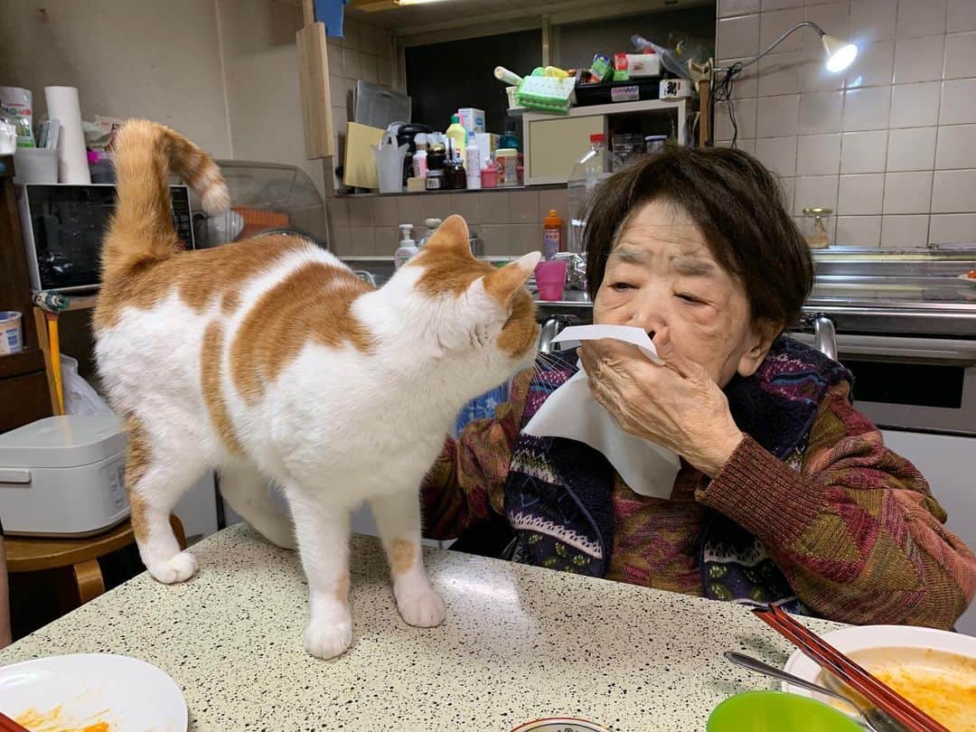 Kachimo Yoshimatsuのグルメインスタ