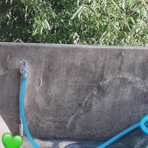 緑川みやびのインスタグラム：「そろそろ折り返しかな？ 完成までお待ちください💚  それではおやすみなさい🌙 いい夢見てね💚💚  #av女優  #女優　 #グリッド投稿 #アダルト  #adult  #セクシー  #ファッション　 #緑川みやび  #ファビュラス  #グラマラス  #fashion  #fabulous  #sexy #dress #ポートレート  #お洒落さんと繋がりたい  #instagood  #instalike  #like4like  #followme  #ファッション  #ootd  #beauty #instabeauty  #instafashion  #model  #style  #focus  #color  #art」