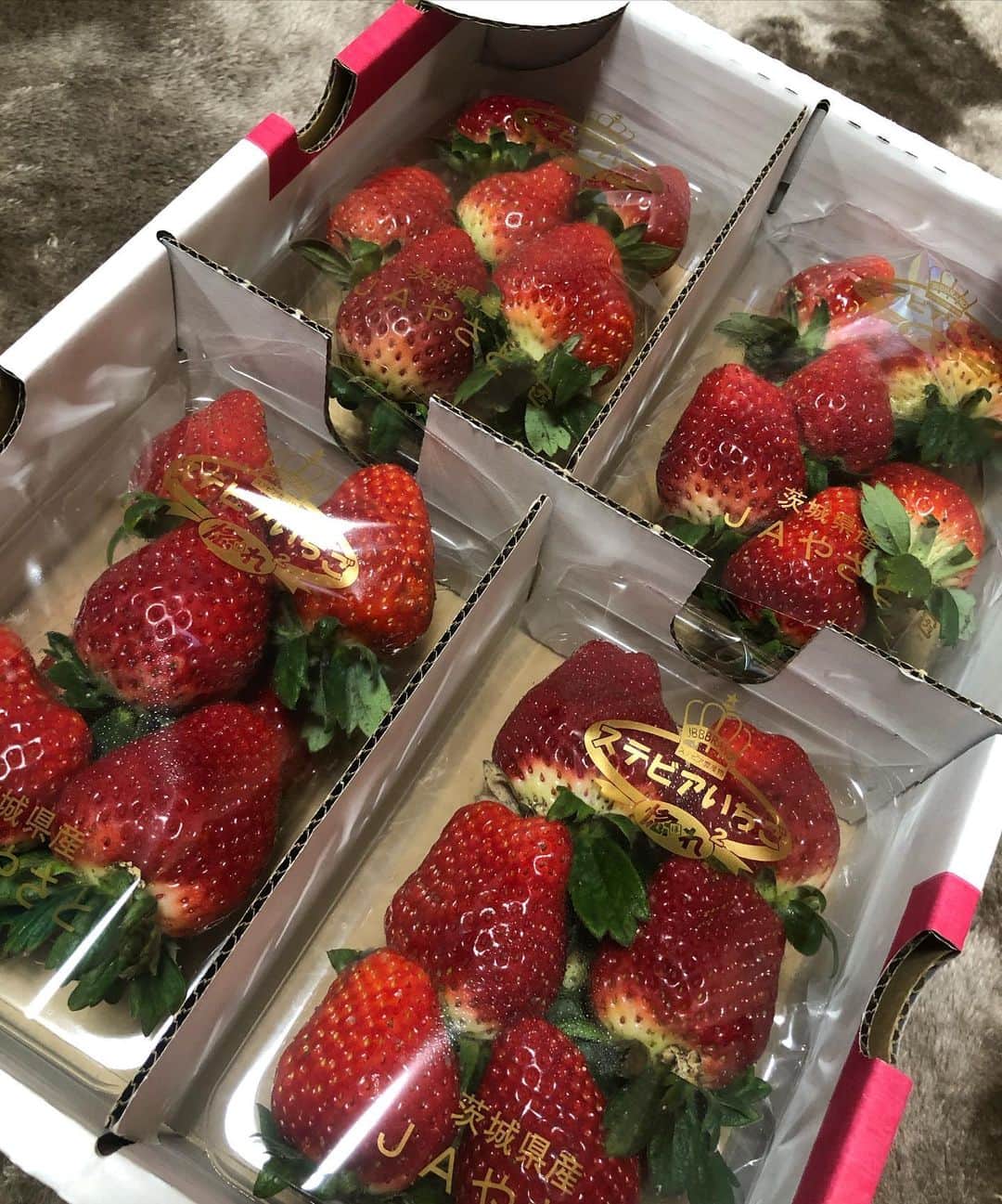 中野みやびのインスタグラム：「いちごしかかたん  #いちごの日 #いちご #苺 #strawberry #フルーツ #fruit #果物 #美味しい #very #good #love #red #pink #絶品 #中野みやび #みやび」