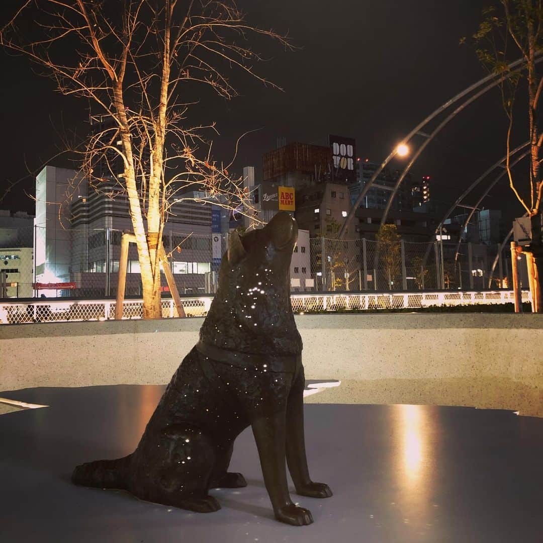 櫻井リヤのインスタグラム：「新しい宮下公園はじめて来た。まったりできて良い」