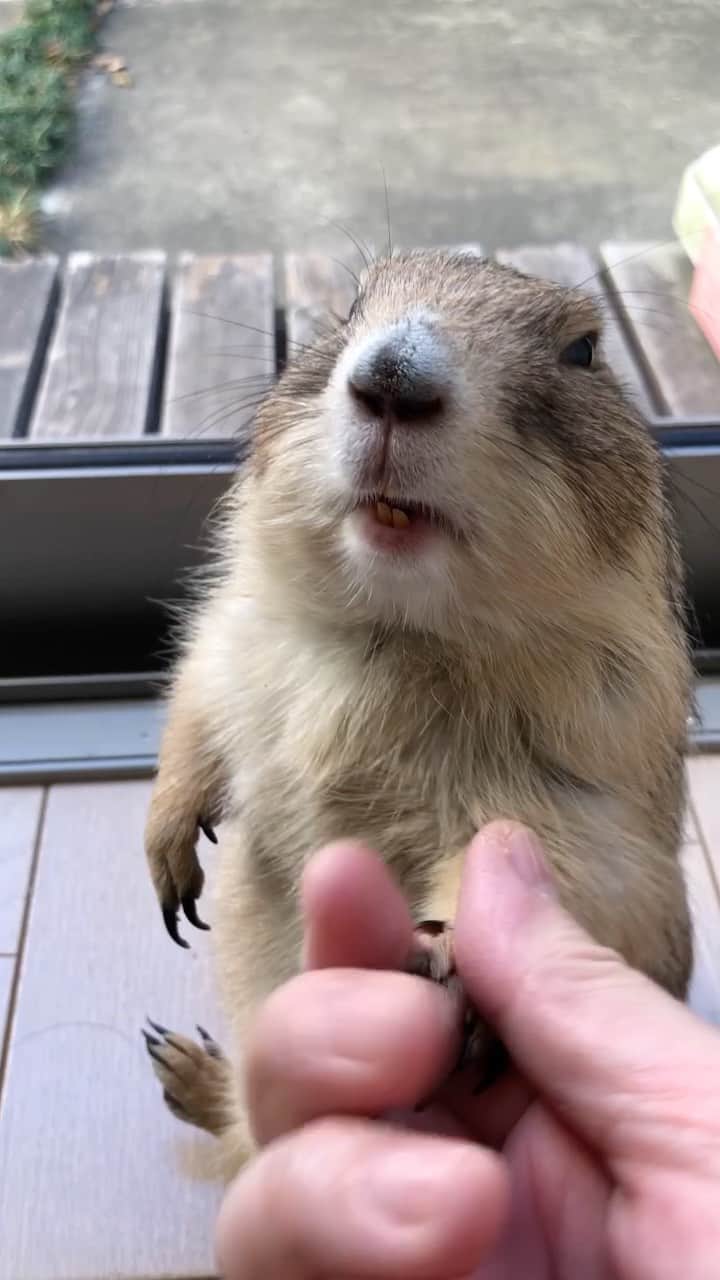 ikaoのインスタグラム