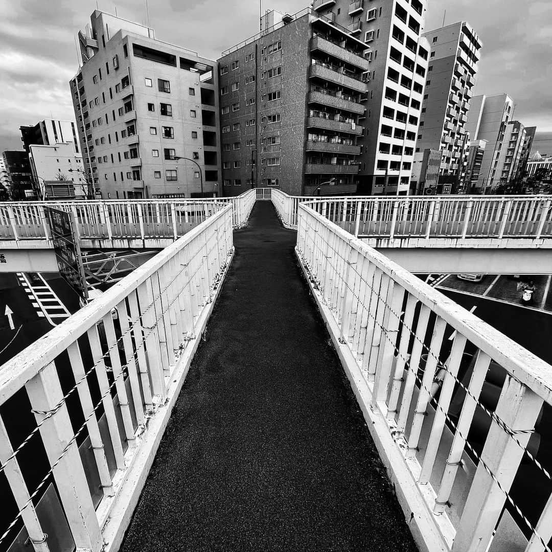 naotakeのインスタグラム：「歩道橋 - An overpass / iPhone 12 Pro Max & Snapseed, 20210116 . . 会社のデスクにしがみついているうちに夜になってしまった、そんな一日。 . . #spicollective #royalsnappingartists #infamous_family #rsa_main #infinity_photo_cult #jp_gallery_member #jp_gallery_bnw #trb_bnw #wp_bnw  #bnw_life #bnwlife_member #bnw_life_shots #bnw_captures #world_bnw #top_bnw #team_jp_ #team_jp_モノクロ #ig_energy_bw #ig_nihon #streetphotographybnw #igersjp #blackandwhite #bnw #bnwphoto #monochrome #bw #bnwphotography #ShotOniPhone #shotoniphone12promax」