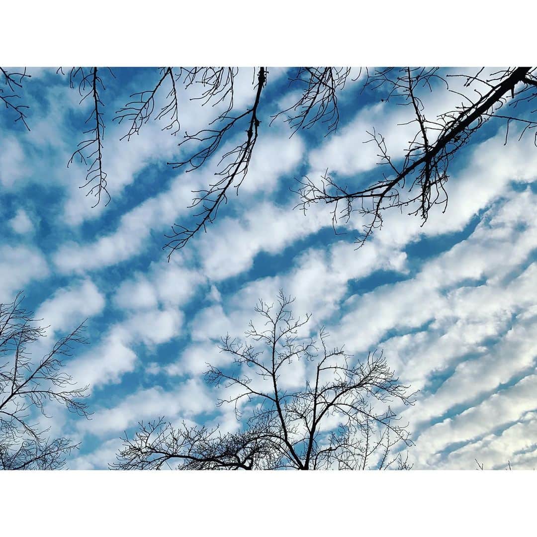 太田夢莉さんのインスタグラム写真 - (太田夢莉Instagram)「  インスタ更新してないなと思ってカメラロールを探ったらもくもくの空がいました。冬の空。冬の空気。冬っていいですよね。朝の極寒も味。人生であと何回冬を楽しめるのかわからないけど楽しみたいです。 」1月15日 22時33分 - yustagram12