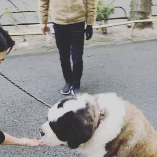 仲田克也のインスタグラム