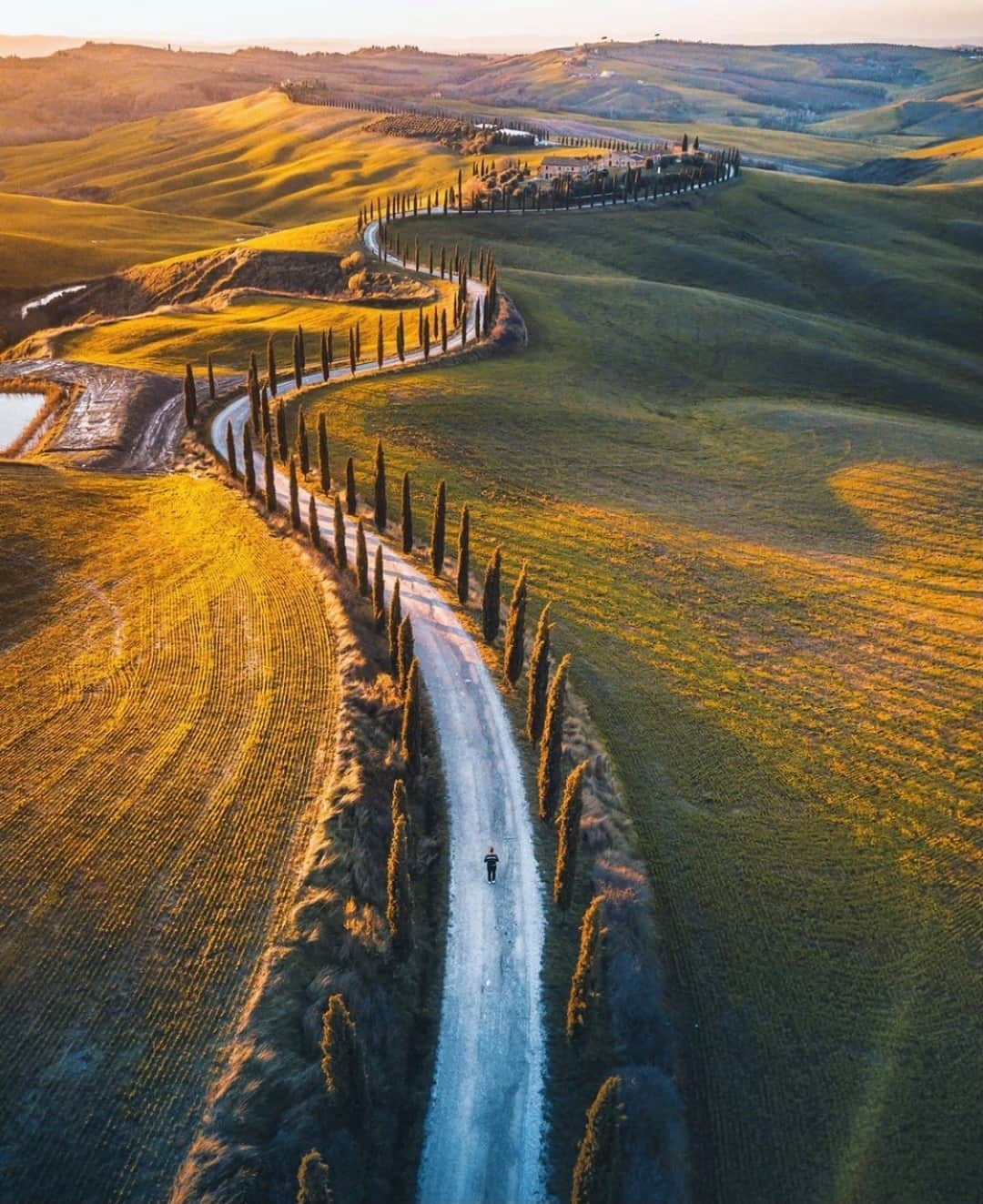 Earth Picsさんのインスタグラム写真 - (Earth PicsInstagram)「The beautiful roads of Tuscany 🌳 by @_marcelsiebert」1月16日 1時00分 - earthpix