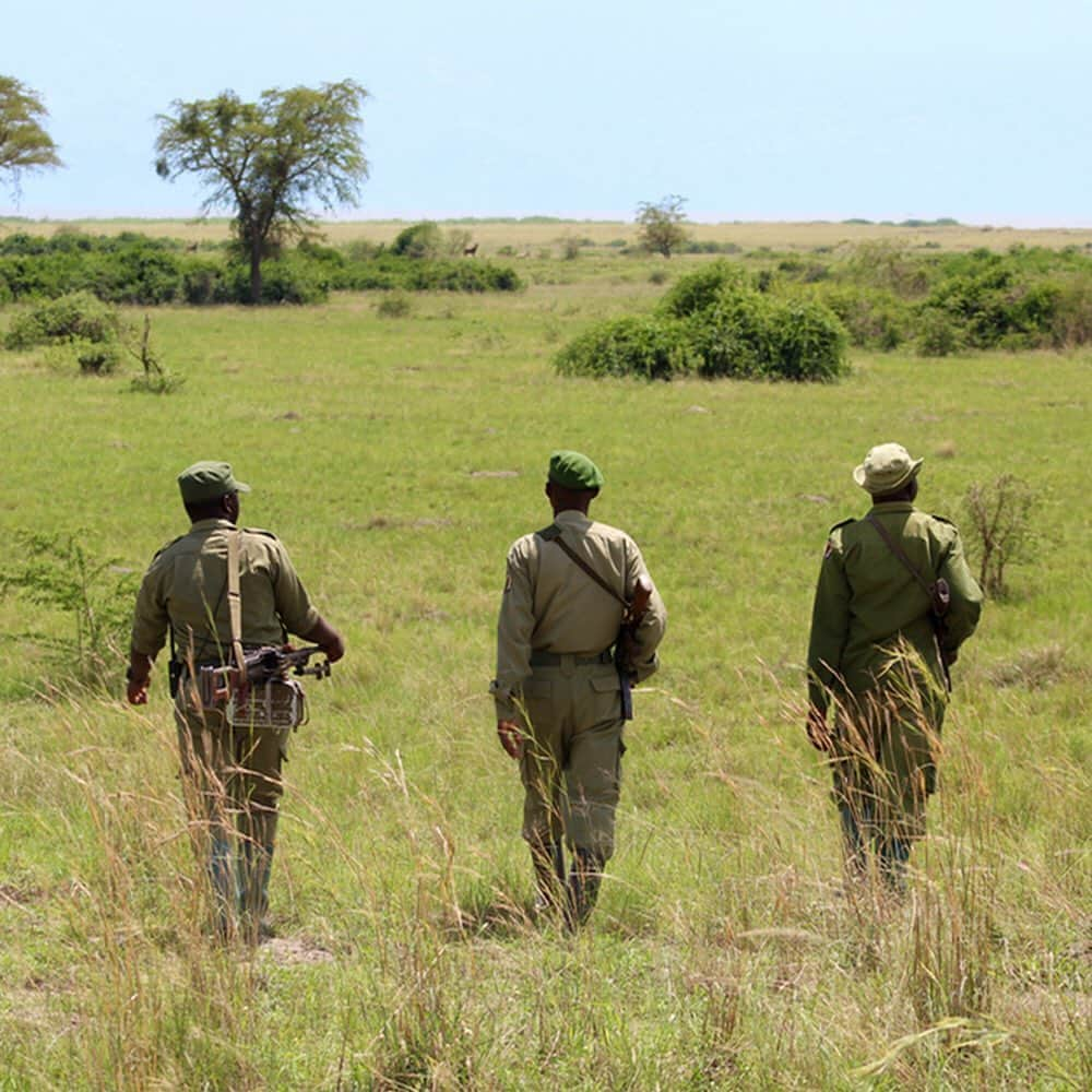 レオナルド・ディカプリオさんのインスタグラム写真 - (レオナルド・ディカプリオInstagram)「The upsurge in violent killings of Virunga staff has left Africa’s oldest national park in an extremely vulnerable position. The brave rangers of Virunga National Park show up every day, despite the risks, to preserve one of the planet’s last remaining biodiversity hotspots.   To date, over 200 rangers have been killed protecting Virunga and its surrounding communities, the highest fatality rate for any protected area on earth. We know that these rangers need our help now more than ever.  Please join me, @Global_Wildlife_Conservation and the European Union in supporting the Virunga National Park at this time of emergency through the Virunga Fund.   Global Wildlife Conservation and the E.U. will match every dollar that Virunga raises. The park’s survival depends on us.   Please visit virunga.org/donate or click the link in my bio. ⬆️  #Virunga #VirungaNationalPark #Congo」1月16日 1時21分 - leonardodicaprio