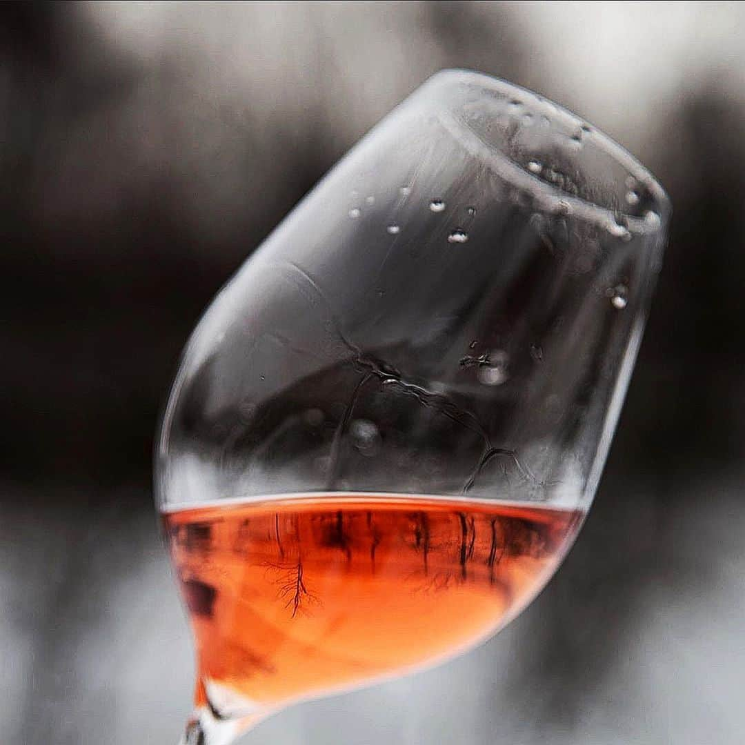 イタレッセさんのインスタグラム写真 - (イタレッセInstagram)「Look at the nuances through the glass, smell the complexity of the aromas, perceive the extraordinary sensations of the wine on the palate... that’s the emotion you feel with our professional stem glasses, which respect and enhance the terroir.  Check more informations out on shop.italesse.com. Cheers!  #italesse #professional #stemglass #design #calici #bicchieri #sommelier #sommelierlife #wine #tasting #senses #sensations #aromas #orange #nuances #smell #emotions #terroir #blackandwhite #instawine #winelovers #cheers #weekend #lifestyle #madeinitaly  Photo by @trentinwine」1月16日 1時38分 - italesse