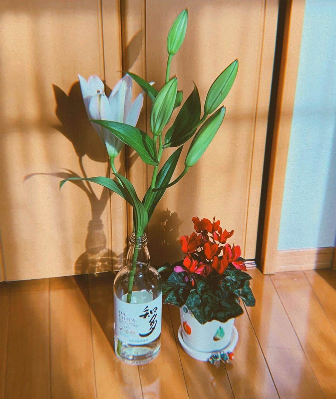 今川宇宙のインスタグラム
