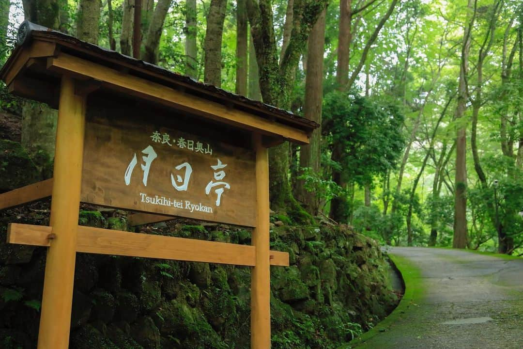 TAKAMI BRIDAL 神社和婚さんのインスタグラム写真 - (TAKAMI BRIDAL 神社和婚Instagram)「【☆☆NEW LOCATION☆☆】 ◯奈良 春日奥山　月日亭 懐石料理2名様分付！ロケーションフォトプラン¥240,000(税込¥264.000)  古来より春日大社の神域として保護され、世界遺産にも登録されている「春日山原始林」のなかに静かに佇む明治36年に建てられた料亭「月日亭」。 四季折々の表情を持つロケーションでの撮影をお楽しみ頂いた後は、本格派の懐石料理をご堪能頂けます。 ご親族分のお食事追加や、お食事での衣裳着用をお得にご利用頂けるオプションもご準備しております。 ご家族だけで過ごして頂くのにぴったりのフォトウェディングプラン。この機会に是非ご利用くださいませ。  ------------------------ ◇お問い合わせ先◇ TAKAMI BRIDAL NARA 奈良県奈良市東向中町28 TEL:050-3646-6777 MAIL:nara@takami-bridal.com ------------------------  #前撮り #フォトウエディング #関西前撮り #奈良前撮り #奈良花嫁 #大阪花嫁 #takamibridal #和婚花嫁」1月16日 12時45分 - takamibridal_wakon