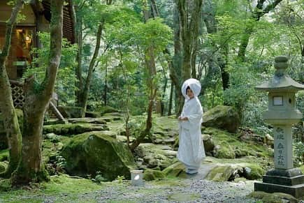 TAKAMI BRIDAL 神社和婚のインスタグラム：「【☆☆NEW LOCATION☆☆】 ◯奈良 春日奥山　月日亭 懐石料理2名様分付！ロケーションフォトプラン¥240,000(税込¥264.000)  古来より春日大社の神域として保護され、世界遺産にも登録されている「春日山原始林」のなかに静かに佇む明治36年に建てられた料亭「月日亭」。 四季折々の表情を持つロケーションでの撮影をお楽しみ頂いた後は、本格派の懐石料理をご堪能頂けます。 ご親族分のお食事追加や、お食事での衣裳着用をお得にご利用頂けるオプションもご準備しております。 ご家族だけで過ごして頂くのにぴったりのフォトウェディングプラン。この機会に是非ご利用くださいませ。  ------------------------ ◇お問い合わせ先◇ TAKAMI BRIDAL NARA 奈良県奈良市東向中町28 TEL:050-3646-6777 MAIL:nara@takami-bridal.com ------------------------  #前撮り #フォトウエディング #関西前撮り #奈良前撮り #奈良花嫁 #大阪花嫁 #takamibridal #和婚花嫁」