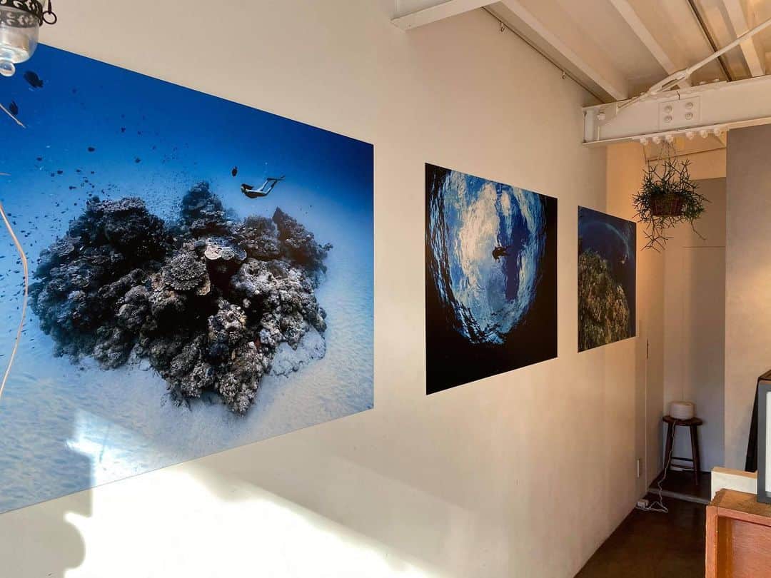 二木あいのグルメインスタ