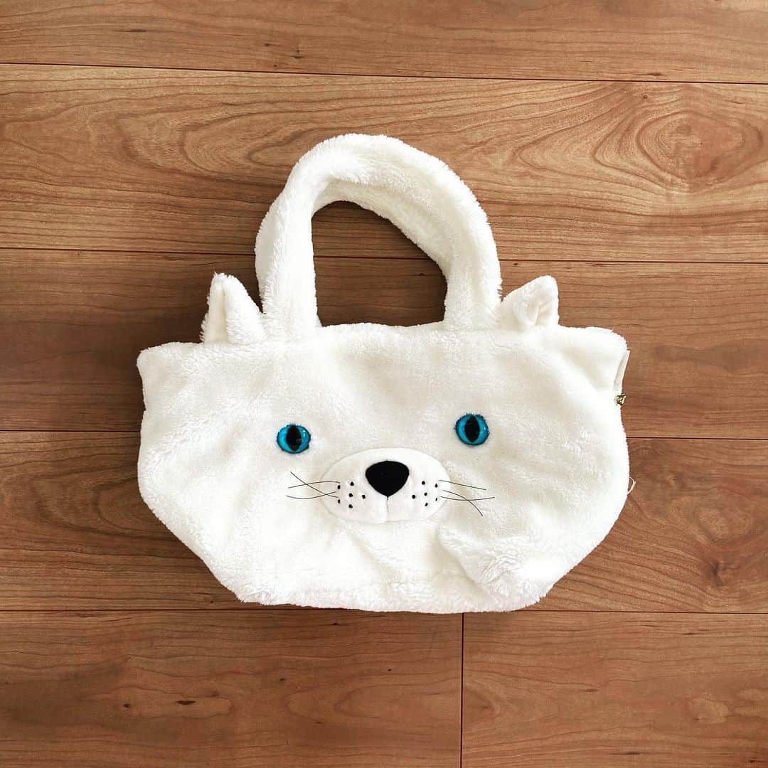 おおたうにさんのインスタグラム写真 - (おおたうにInstagram)「🐱cat bag / Futakotamagawa RISE🐱 けっこう前に買った猫ちゃんバッグ。色んな毛色の子がいました。目が真っ青で可愛かったので白にしたよ。「シロクマ🐻‍❄️」と言われるよ。（意味不明なところにジッパーつきポケットがあることをさっき知った） #今日のかばん #bagoftheday #fashion」1月16日 12時54分 - outa_uni