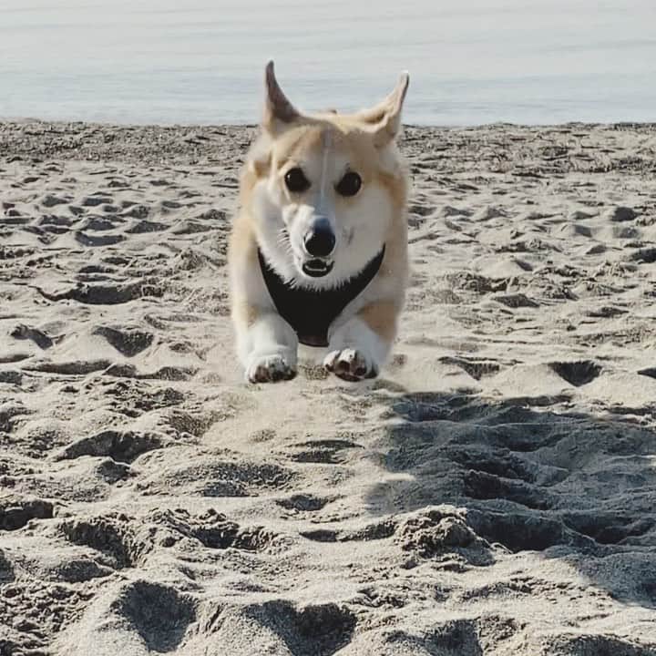 さゆりのインスタグラム：「◡̈⋆2021.1.16.Sat.◡̈⋆ Zoomies‼️❤️😂🤣✌️ * * * * * * * * *」