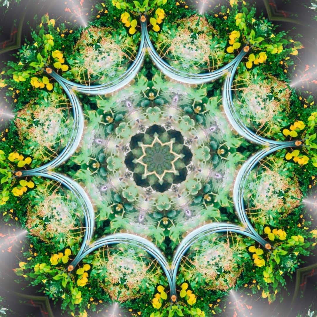 横山勇也のインスタグラム：「Colors Circles. #love #yuyayokoyamacom #fineart #myart #artcollector #abstractart #nature_brilliance #EarthVisuals #artofvisuals #welivetoexplore #natureaddict #naturediversity  #japanfocus #iphoneography #iphoneonly #iphonesia #focalmaqrked #rollworldapp #dianaphotoapp #tokyo  #niigata #circles #swiss」