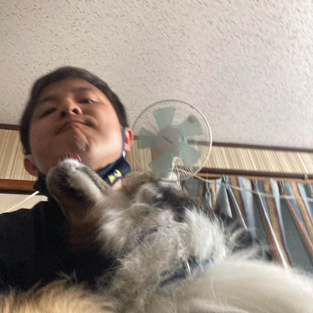 江川智晃さんのインスタグラム写真 - (江川智晃Instagram)「仕事終わりの癒しタイム☺️ 愛犬アース💁‍♂️ 自慢じゃないけど家族で1番懐いてくれてる😏 勘違いかな？笑 まぁ自己満でいいや😂」1月16日 13時19分 - egatomo43