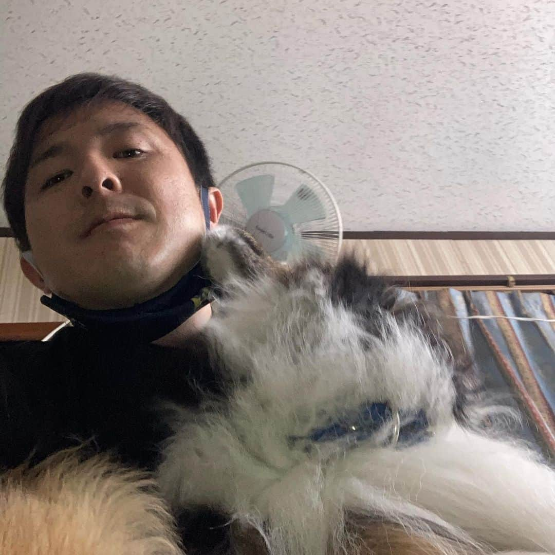 江川智晃さんのインスタグラム写真 - (江川智晃Instagram)「仕事終わりの癒しタイム☺️ 愛犬アース💁‍♂️ 自慢じゃないけど家族で1番懐いてくれてる😏 勘違いかな？笑 まぁ自己満でいいや😂」1月16日 13時19分 - egatomo43