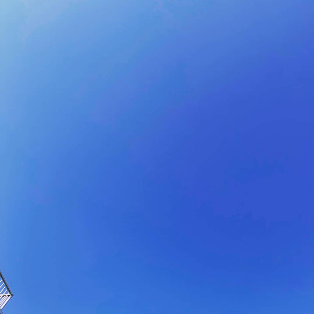 谷本貴義のインスタグラム：「あったかい♪  #いい天気」