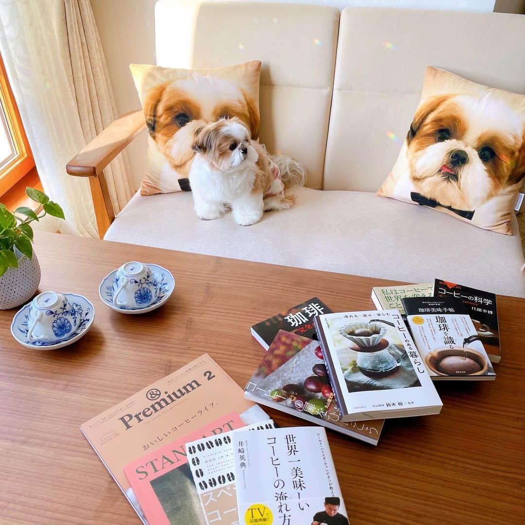 水嶋はちのインスタグラム：「ボクのおうち時間🏠☕️💕💕  ボクのモットーは「できるかできないかではなく、やるかやらないか！」です。何事も挑戦しないと始まらないので、どんな環境でもベストを尽くします！ ボクのパパは、コーヒーが大好きなので、ひそかに、すごーくひそかに、おいしいコーヒーの淹れ方を勉強しています🐶☕️💕💕💕 * * #はち #HACHI #シーズー大好き部 #coffeeloverdog」