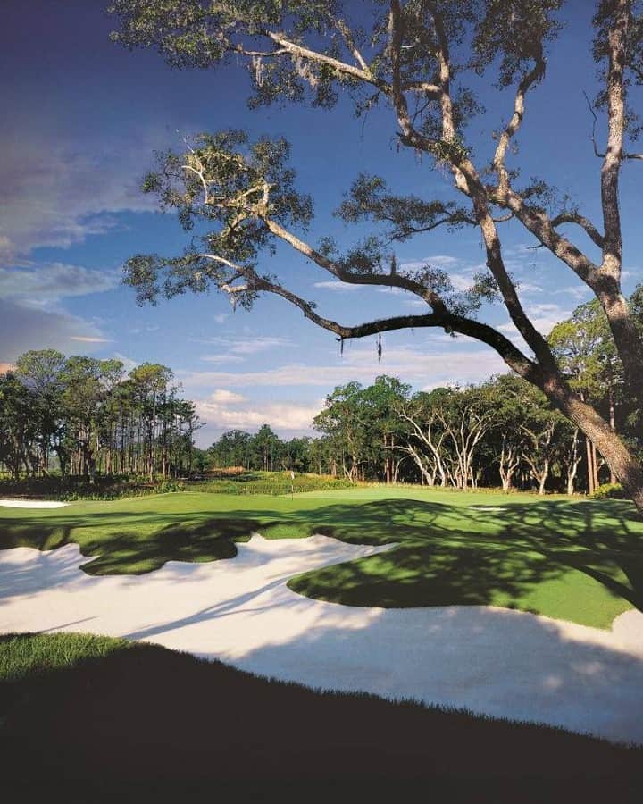 PGA TOURさんのインスタグラム写真 - (PGA TOURInstagram)「The 2021 edition of @wgcmexico will be played at The Concession Golf Club in Southwest Florida. ⛳️」1月16日 6時17分 - pgatour