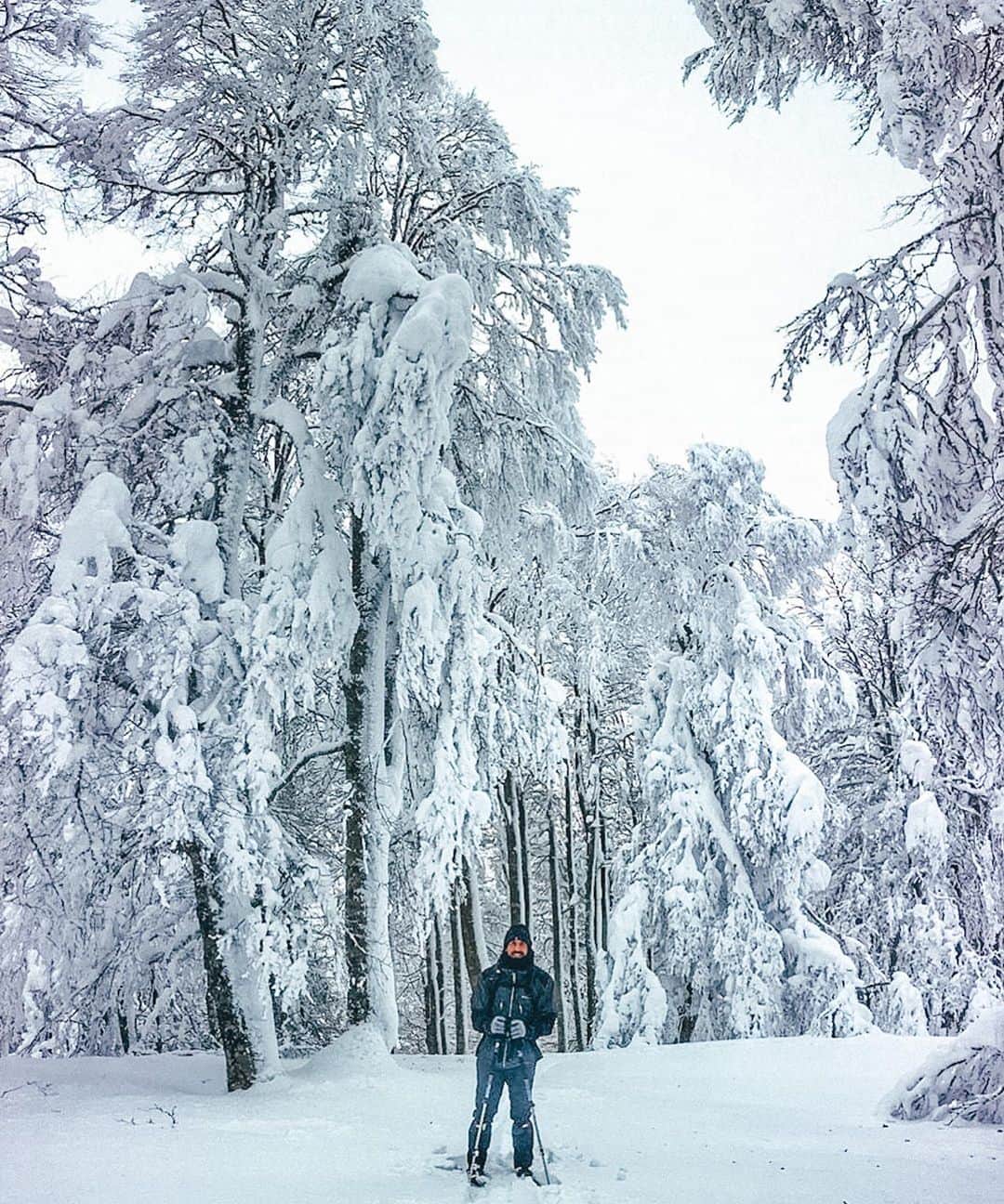 ゴルカ・イライソス・モレノのインスタグラム：「"Dos senderos se abrían en el bosque y yo... Yo tomé el menos transitado". Vive la vida. Saborea las experiencias al máximo y busca con entusiasmo y sin temor nuevas experiencias que te enriquezcan.  📸: @aritzsardina  #winter #invierno #nieve #snow #mountain #montaña #momentosunicos」