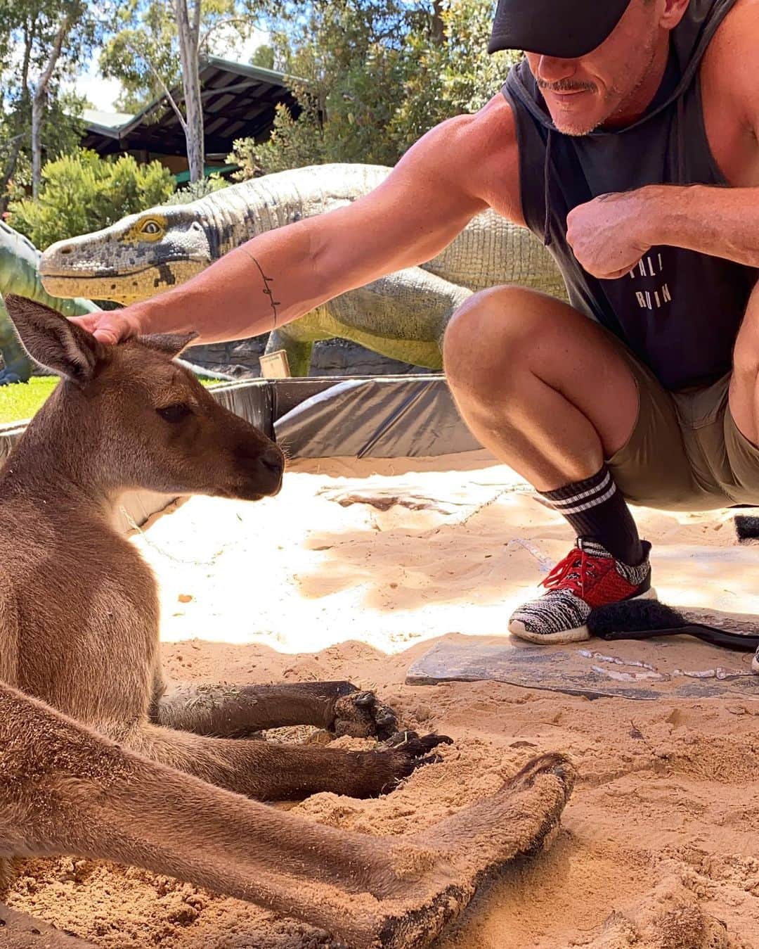 ルーク・エヴァンズさんのインスタグラム写真 - (ルーク・エヴァンズInstagram)「A nice little head scratch for Mr kangaroo in the kiddies sandpit. He was definitely a Mr.....🍇」1月16日 7時13分 - thereallukeevans