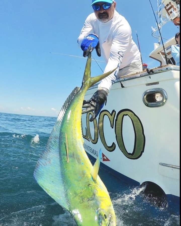 Costa Sunglassesのインスタグラム：「Dorado rodeo. 📷: @casaviejalodge #SeeWhatsOutThere #BornOnTheWater」