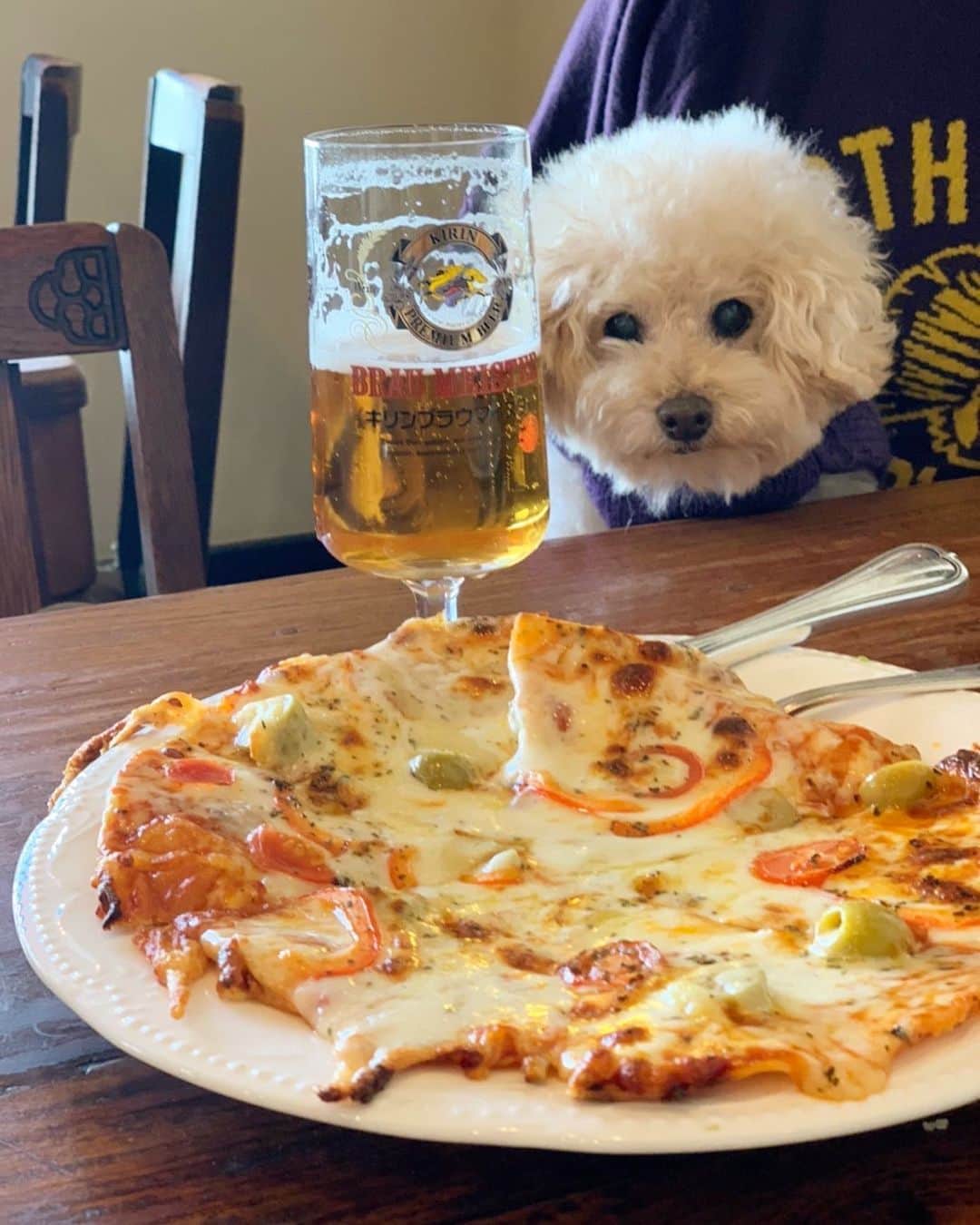 Maruのグルメインスタ