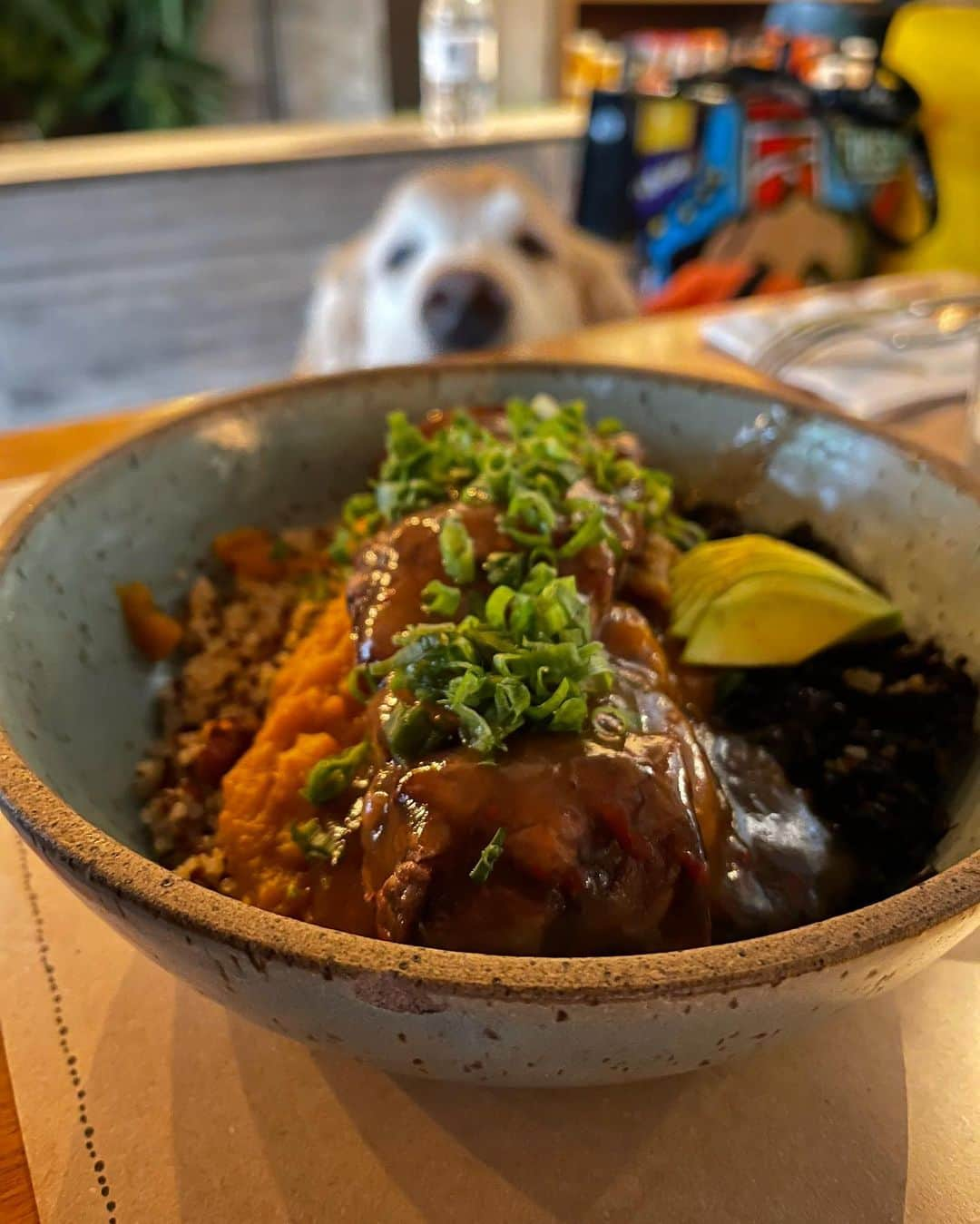 Bobさんのインスタグラム写真 - (BobInstagram)「#ExpediçõesOlaPetSP com dica de restaurante Petfriendly! Visitamos hoje o @emporiofrutaria com a @olapet.friendly ! Quem acompanha sabe que já somos frequentadores assíduos deles e adoramos! Fizeram até um mimo pra gente com direito a Chuchu Time, frutas e água de coco!👏 . #ExpediçõesOlaPet #HyundaiPets  .  Destino: São Paulo Restaurante @emporiofrutaria  . #destinos #dicas #dicasdeviagem #petfriendly #restaurantepetfriendly #saopaulo #brooklin #itaimbibi #vilaolimpia #ibirapuera #sampa #roteiros #petlovers #doglovers #hyundai #hyundaihb20 #gastronomia #hotelaria #corporativo #goldenretrievers #dogs #dogsofinstagram #vejasp #instagram #instagramers」1月16日 8時02分 - bob_marley_goldenretriever