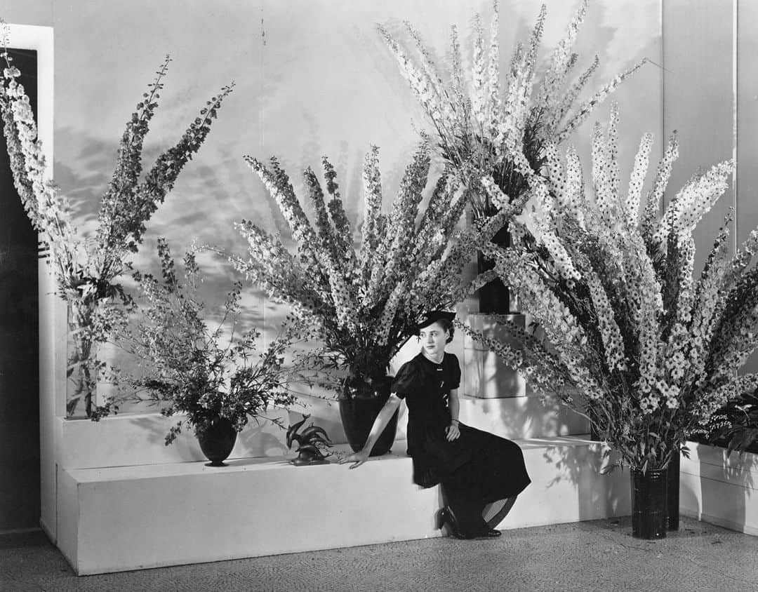 レベッカテイラーのインスタグラム：「Talking to my plants again.  ∙ ∙ ∙ Edward Steichen, 1936, cc @themuseumofmodernart」