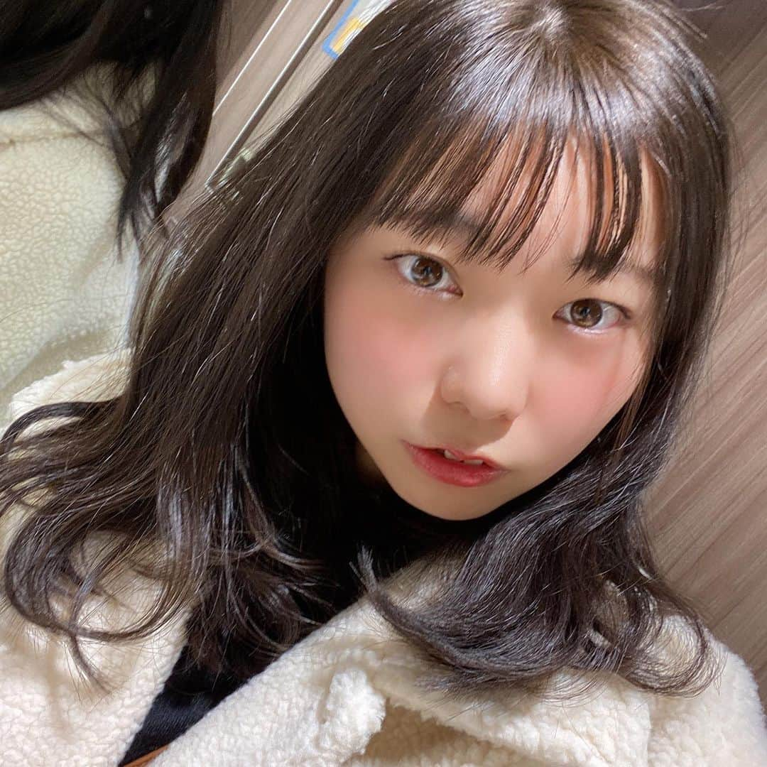 山之内優美のインスタグラム：「おとなっぽくなりましたか？ というか大人ですけど、、、  #ヘアスタイル #ヘアアレンジ #アイドル　#おしゃれさんと繋がりたい  #お洋服好きな人と繋がりたい  #わんちゃんいやほい！　#美容院  #ヘアカラー　#カラーチェンジ」