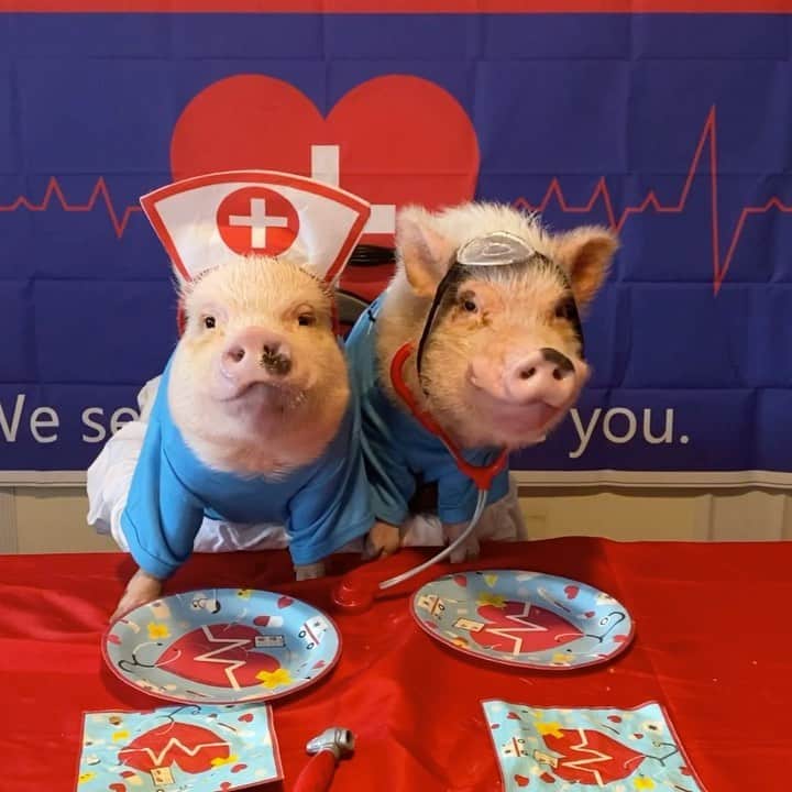Priscilla and Poppletonのインスタグラム：「Just what the doctor ordered! Happy 5th Birthday Posey and Pink! We had so much fun celebrating you today.🩺🐷❤️🧁#happybdayposeyandpink #nurseanddoctor #superheroparty #fifthbirthday #PrissyandPop」