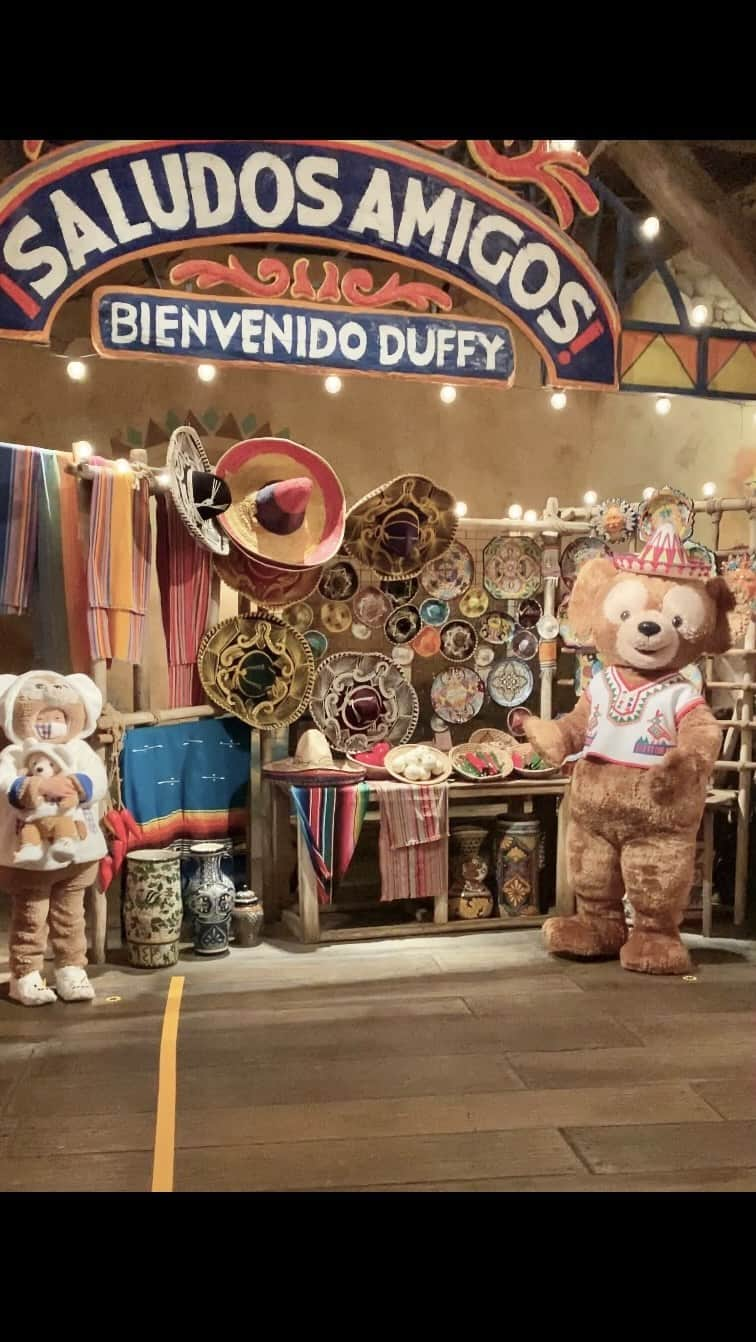 tiahy__のインスタグラム：「Glad to see you again! Duffy !🧸. . For the first time in 2 years. . . He calls him “Puppy“ since he was very young. . . . . 大好きな大好きな“パッピー“に会えた時の様子です(taiちゃんは小さい頃からダッフィー のことを“パッピー“と呼びます). コロナの事なども重なり、約2年ぶりに会う事ができました🧸. ❆緊急事態宣言前の様子です. . #duffy_taia#tokyodisneysea #duffy」