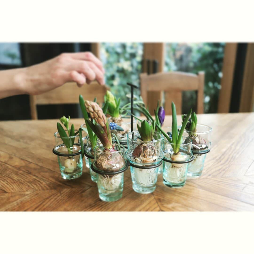 journaleatripのグルメインスタ