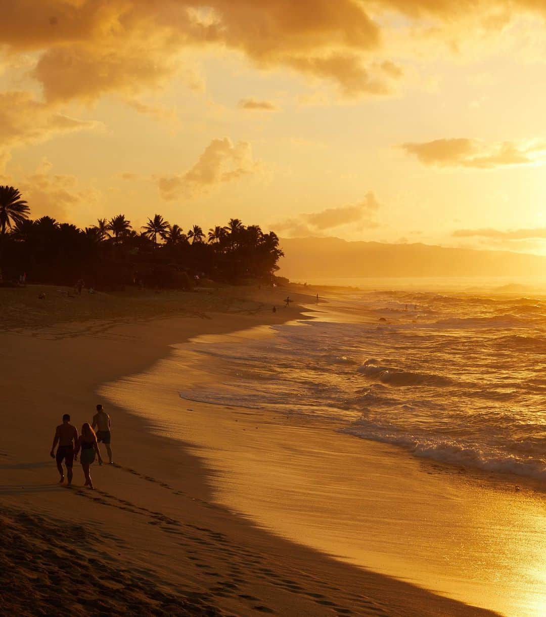 レインスプーナーのインスタグラム：「Happy Aloha Friday- pau hana time.   Photo: @zakbush  . . . #alohafriday #sunsetbeach #reynspooner」