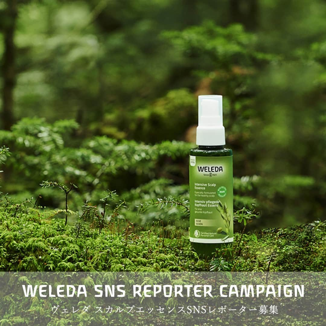 ヴェレダ Weleda Japanさんのインスタグラム写真 - (ヴェレダ Weleda JapanInstagram)「【新製品・スカルプエッセンスSNSレポーター募集！！】 . ヴェレダでは、健やかな頭皮に着目した、日本開発処方のオーガニックヘアケアラインの新製品を2021年1月15日(金)に新発売いたしました。 . ヴェレダは、健康な土壌から健康な植物が育つように、健康な髪は健康な頭皮によって叶うと考えています。 . 新発売のヴェレダオーガニックヘアケアラインでは、ストレスや、加齢、環境変化の影響を受けやすい髪や頭皮の悩みに合わせ、豊かな植物の恵みを贅沢に配合。 . 人間の身体が本来持つ、バランスを保つ力に着目し、健康的な頭皮づくりと芯から強い髪を植物の力でサポートします。 . このオーガニックヘアケア新製品である「スカルプエッセンス」をお試しいただき、その魅力をInstagramで発信しヴェレダを応援してくださる方を大募集いたします。 . 待望の新製品「スカルプエッセンス」 は、2021年1月15日(金)に先行発売・3月15日(月)に全国発売となります！ . 新発売直後の新製品をお試しいただける大変貴重な機会となりますので、ぜひご応募ください！ . ────────────────────── ●スカルプエッセンスのご紹介 ────────────────────── . 頭皮にしっかり届くジェットスプレータイプのスカルプ用エッセンスローション。みずみずしい潤いを与えながら、マッサージをすることで、爽快な仕上がりに導きます。  頭皮が凝り固まると、白髪、フケ、細毛などエイジングサイン（※年齢によって頭皮が乾燥しやすくなった状態）にも。頭皮環境を整えて、美しい髪へ導いていきましょう。 . 日本開発処方　115mL　3,850円（税込） . フレッシュハーブの香り . - 11種類の植物美容成分（保湿成分）を凝縮 ￣￣￣￣￣￣￣￣￣￣￣￣￣￣￣￣￣￣￣￣￣￣ みずみずしく潤うアロエベラやオリーブ葉など、美容成分豊富な植物を厳選。年齢サイン※が気になる頭皮を集中ケアします。（※年齢によって頭皮が乾燥しやすくなった状態） . - 頭皮のエイジングサイン※トータルアプローチ ￣￣￣￣￣￣￣￣￣￣￣￣￣￣￣￣￣￣￣￣￣￣ 3つのケア効果「エイジングケア※」「潤いケア」「整肌ケア」で頭皮コンディションを整え、頭皮環境を健やかにサポート、頭皮の緊張やコリをほぐすマッサージも加えれば、効率よくお手入れが可能になります。（※年齢によって頭皮が乾燥しやすくなった状態） . . 応募フォームは、プロフィール（ @weleda_Japan ）のリンクからご覧いただけます。 . ▼応募フォーム https://www.secure-cloud.jp/sf/business/1589368699nmzstjht . エッセンスローションのご使用感などをSNS投稿でレポートしてください！ . . ―参加方法ー 1.WELEDA公式Instagramをフォロー 　▼フォローはこちら 　https://www.instagram.com/weleda_japan/ 2.フォームより応募 　https://www.secure-cloud.jp/sf/business/1589368699nmzstjht 3. 当選された方にはヴェレダ・ジャパンより製品を発送いたします。 4. 提供製品を受け取り後、実際にご試用いただき、その感想を指定のハッシュタグをつけてInstagramフィードに投稿してください。（ストーリー投稿のみは不可） . ※ご応募は1/31(日)23:59迄 ※今回の応募の対象投稿SNSは、Instagramのみになります。 ※当選者の発表は商品の発送をもってかえさせていただきます。 ※製品送付後、規定の期日までに投稿のない方は、今後キャンペーンへのご参加をお断りさせていただく場合がございます。 . 皆さまのご応募、お待ちしております！ . SNSレポーター募集は毎月開催の予定です。SNSでご案内いたしますので、ぜひチェックしてみてくださいね！ . . #ヴェレダ #WELEDA #オーガニック #オーガニックコスメ #植物療法 #シュタイナー #ホリスティック #スカルプエッセンス #頭皮ケア #乾燥 #頭皮環境 #頭皮マッサージ #先行発売 #スカルプケア #頭皮ケア#ヘアケア #スカルプケア #頭皮ケアマッサージ #頭皮洗浄 #オーガニックヘアケア #ヘアケアグッズ #シャンプー #トリートメント #美容 #美容院 #頭皮マッサージ #おうち美容 #ヘッドスパ #オーガニックヘアケア」1月16日 11時59分 - weleda_japan