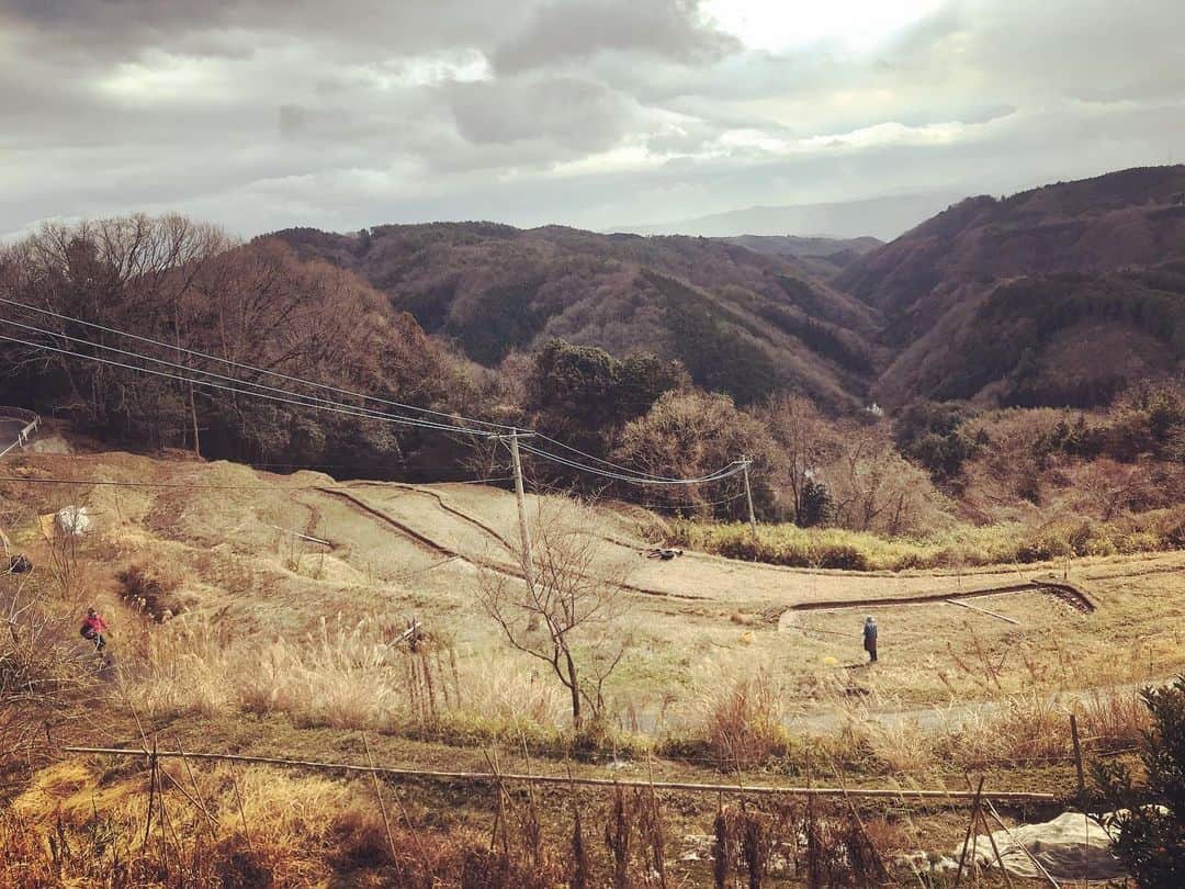 三宅洋平のグルメインスタ