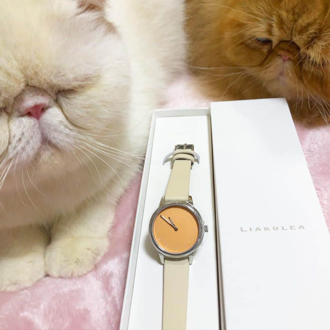 女将さんのインスタグラム写真 - (女将Instagram)「BUN & ULU  「pilina」 繋ぐ、絆の意味。  時計に込められた想いが素敵すぎる。  孤立してしまいがちな今に大切な言葉。  今回はきな粉カラーをチョイス！  気が抜けない時間もこれで楽しくなりそうです！  @liakulea_japan  「kinakah91」10％off  #腕時計 #liakulea #時計 #腕時計倶楽部 #手元倶楽部」1月16日 12時10分 - kinako_mochicat