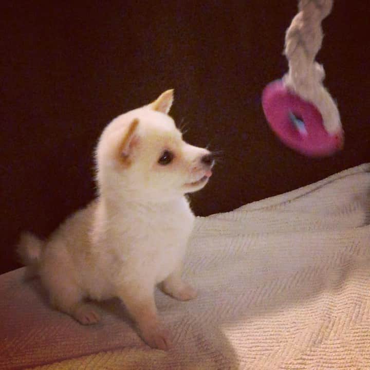 Willy Wonkaのインスタグラム